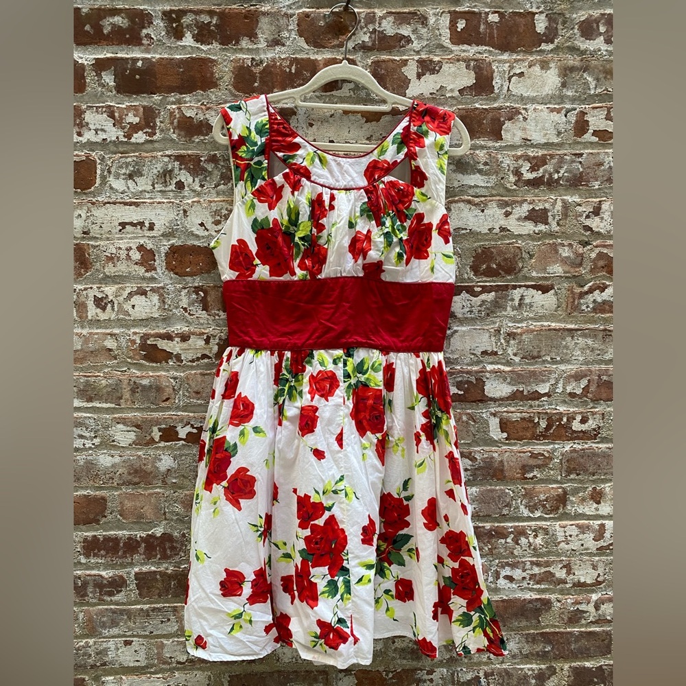 Trashy Diva Red Roses Orlando Mini Dress Size 12 EUC